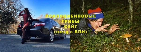 прущая мука Вязники